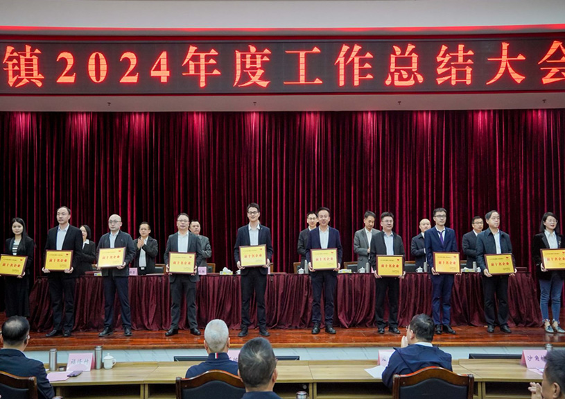 双项殊荣！玩彩网电声荣登石排镇2024年度“双十强”榜单